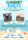 Promotional poster for Cloughey Bioblitz on 13 June 2026